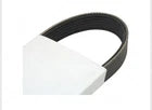 2043404 Hyster Forklift Fan Serpentine Belt | Fits GM 4.3 Engine